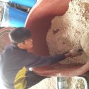 유나네농원 이미지