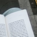 다소재티하우스 | '알이즈웰' 행복한 주문이 떠오르는 향긋한 커피 제주 서사라 카페 '만사오케이' 후기: dir zum Segen