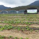 속리산농장 이미지