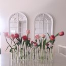 세복농장 | 싱싱하고 예쁜 꼿은 여기서 바로 “농라”예요