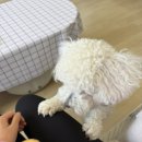 화령미용실