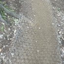 장무공원 화장실 이미지