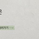 주식회사 마이베프 네이버블로그