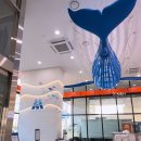 호텔코지 | 속초 가성비 숙소 추천, 호텔어라운드 속초 디럭스 코지 솔직후기