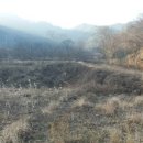 일원 태양광발전소 이미지