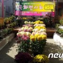 내토 이미지
