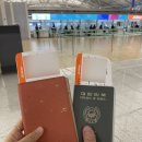 [25주 괌 태교여행]3박 4일 일정, 돌고래 투어, 별빛투어, 아기옷 쇼핑, 괌 여행 꿀팁 ˘◡˘
