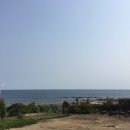 세화바당 이미지