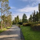 부산시민공원 이미지