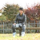 미진상사 이미지