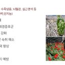 진생칸 이미지