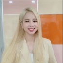 이지비 이미지