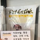 루비 애견샵 이미지