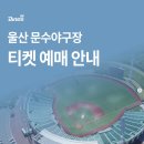 문수야구장 이미지
