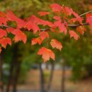 소향공원 이미지