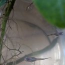 전북한우협동조합총체보리한우정육식당전주점 이미지