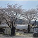 강당골글램핑 자연 속 힐링, 와이제이글램핑 방문 후기
