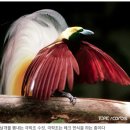 레크와 경합시장 이미지