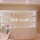 달리핀 에스테틱 이미지