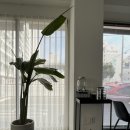 디디커피 진건점(DD.COFFEE) | 통영 무전동 카페 DD coffee (디디커피)