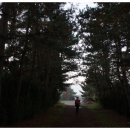 선바위 휴게소 이미지