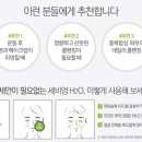 데오드림