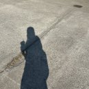 고짐(Go gym) 이미지