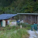 효석문학100리길 제2구간 이미지