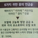 올디너리 헤어 | 로레알 헤어 오일 후기 엑스트라오디너리 내돈내산