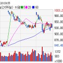 (주)마제스타 마제스타카지노 이미지