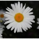 도당고등학교 이미지