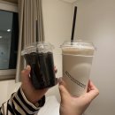 맹그로브신설 | 서울 맹그로브 신설 트윈룸 후기 | 동대문점 비교까지 솔직 정리