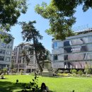 체스호프 이미지