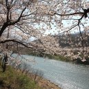 리얼리스트