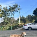 가야골프랜드 | 가야골프랜드(파3연습장 무제한라운딩)