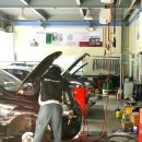 보쉬카센타 이미지