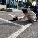 현동면사무소 이미지