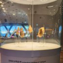 전곡선사박물관 이미지