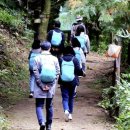 용인 산림교육센터 이미지
