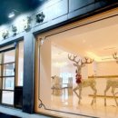 수원고양이분양 고사남 본점 이미지