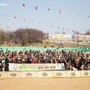 시바나라 이미지