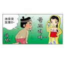 신고금 Daum카페