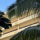 태평양마트 | [하와이 호놀룰루] 태평양의 낙원 Hawaii &#39; 호놀룰루🏖️ &#39; 2일차 -★★