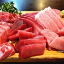 쇼군참치&초밥