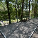 법수치오토캠핑장 | 강원도 양양 계곡 캠핑장 자연이 아름다운 법수치 오토캠핑 후기