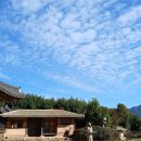 문학&생명관 이미지