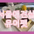 펫 애견샵 이미지