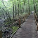 한라산풍경 이미지