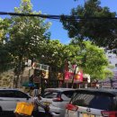 샤론목장 | 냐짱 나트랑 4박5일 자유여행 일정 경비 환전 총정리 / 내돈내산