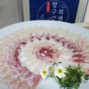 항구일식 이미지